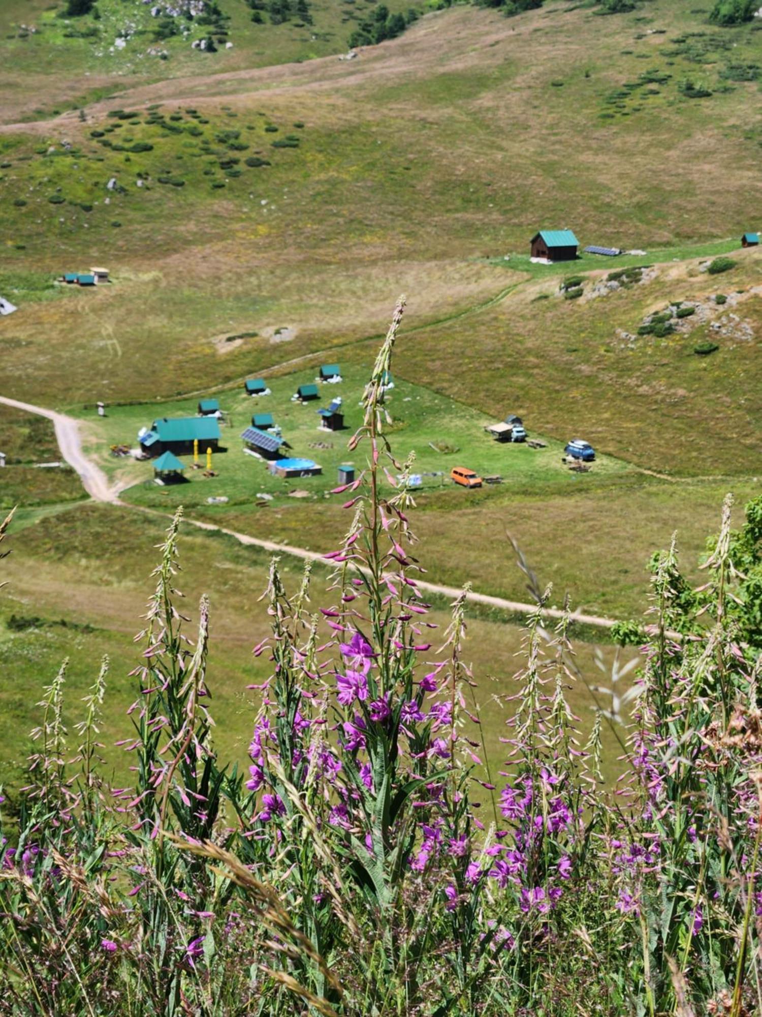 Rural Household Janketic Guest House Kolašin Екстериор снимка